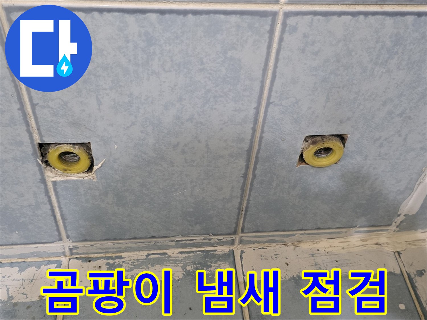 남양주 오남 누수 - 샤워 수전 연결부 주변 벽면 곰팡이 냄새 점검