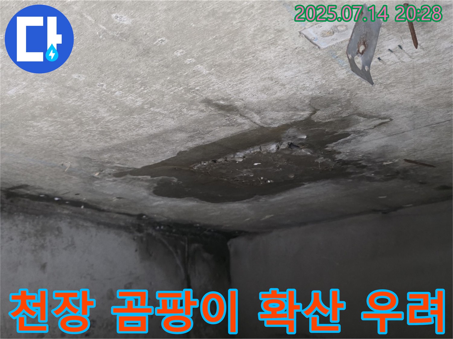 남양주 오남 두산아파트 누수 - 화장실 천장 누수로 인한 곰팡이 확산 우려, 빠른 조치 필요