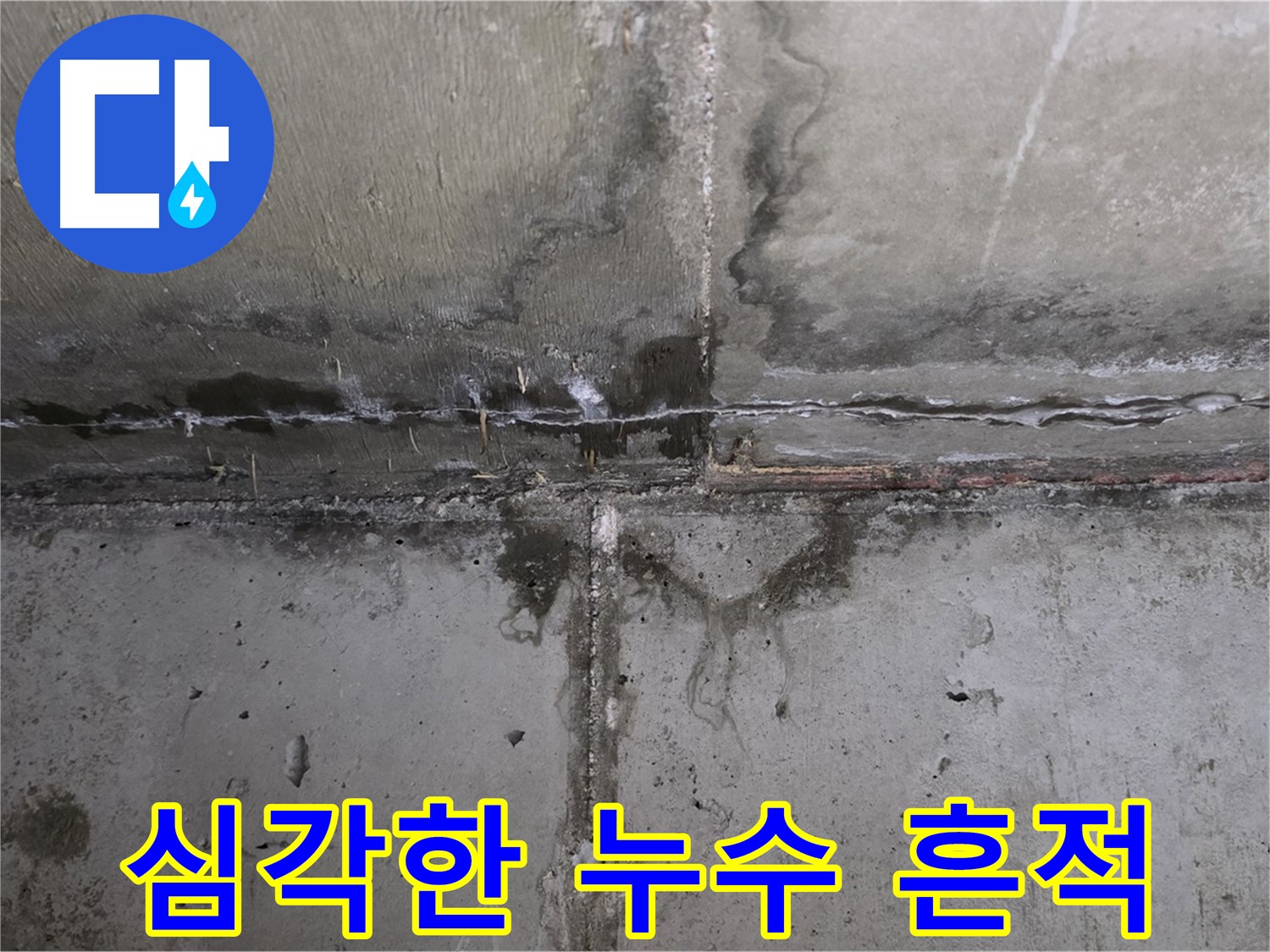 남양주 오남읍 아파트 누수 - 심각하게 퍼진 곰팡이
