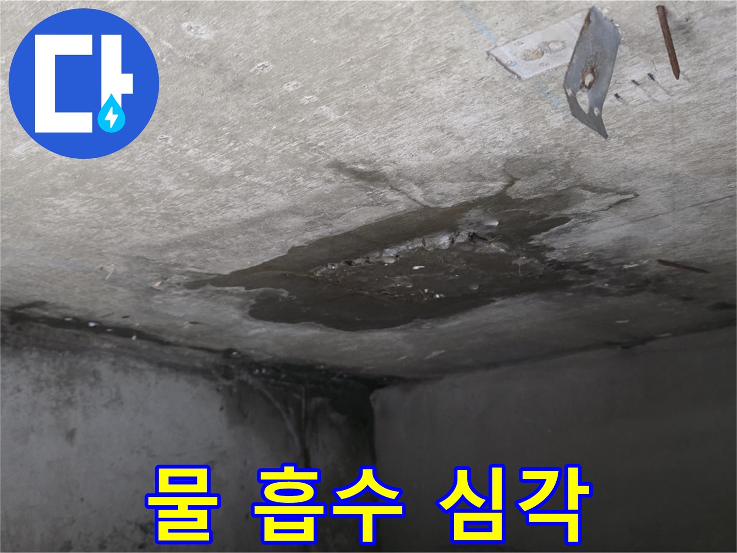 심각한 콘크리트 물 흡수 - 남양주 오남 누수
