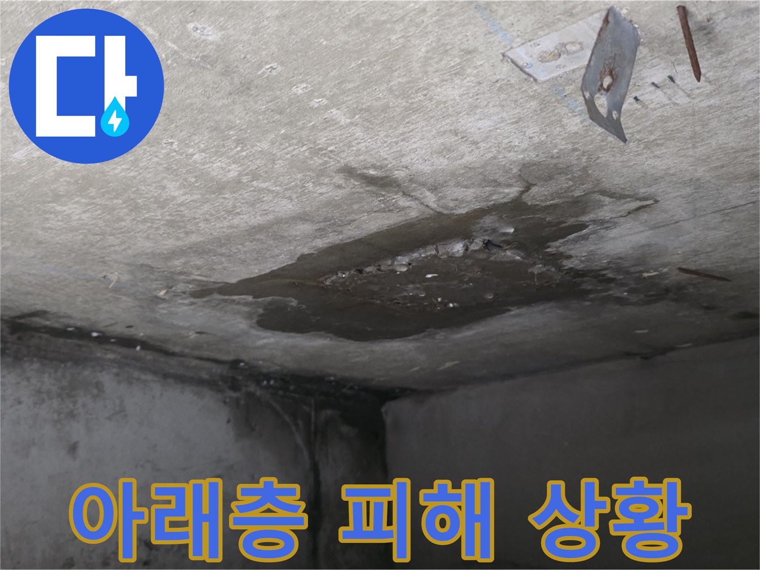 아래층 화장실 천장과 벽에 핀 곰팡이 - 남양주 오남 아파트 누수 피해 현장