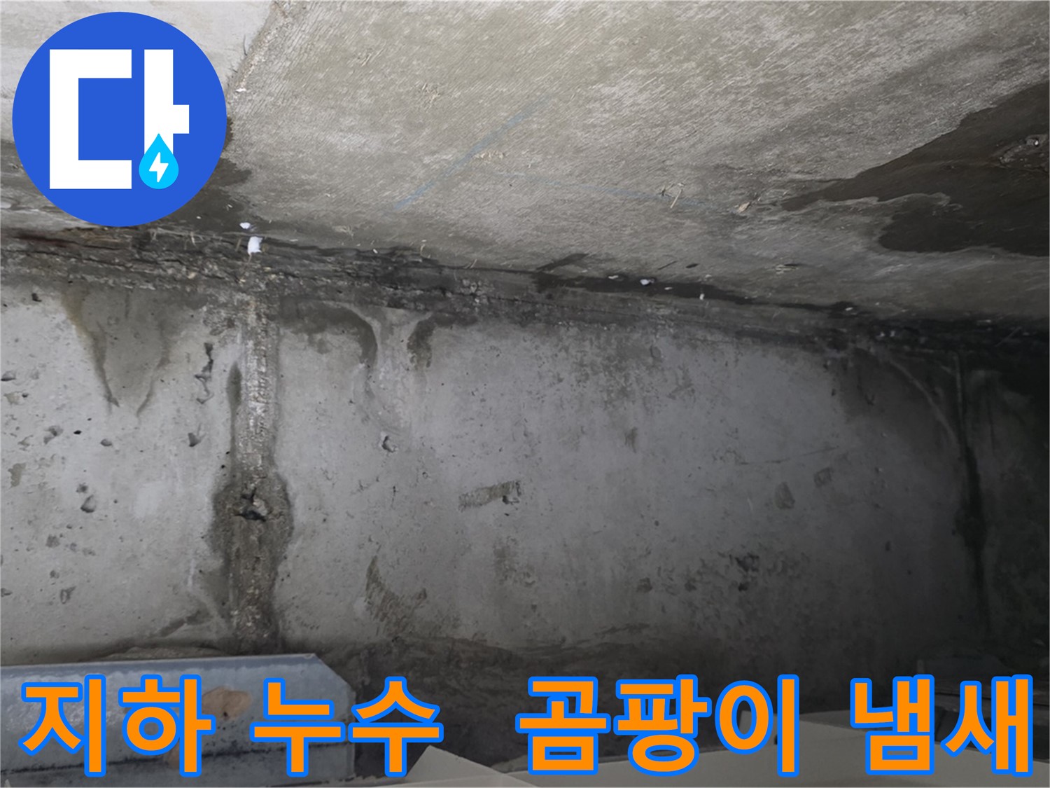 오남 건물 지하 누수 - 곰팡이 냄새