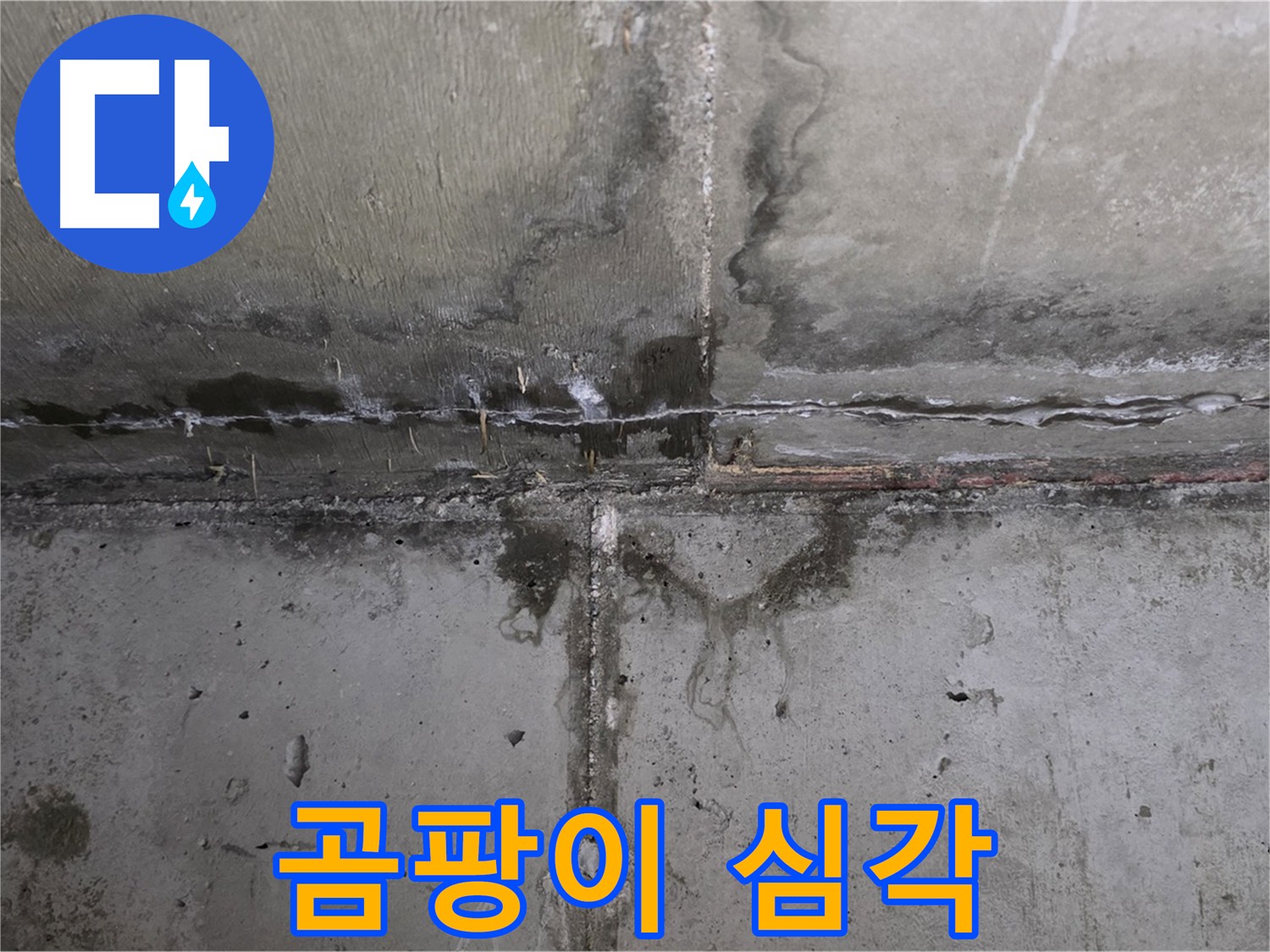 남양주 오남읍 아파트 누수 - 곰팡이의 심각한 발생