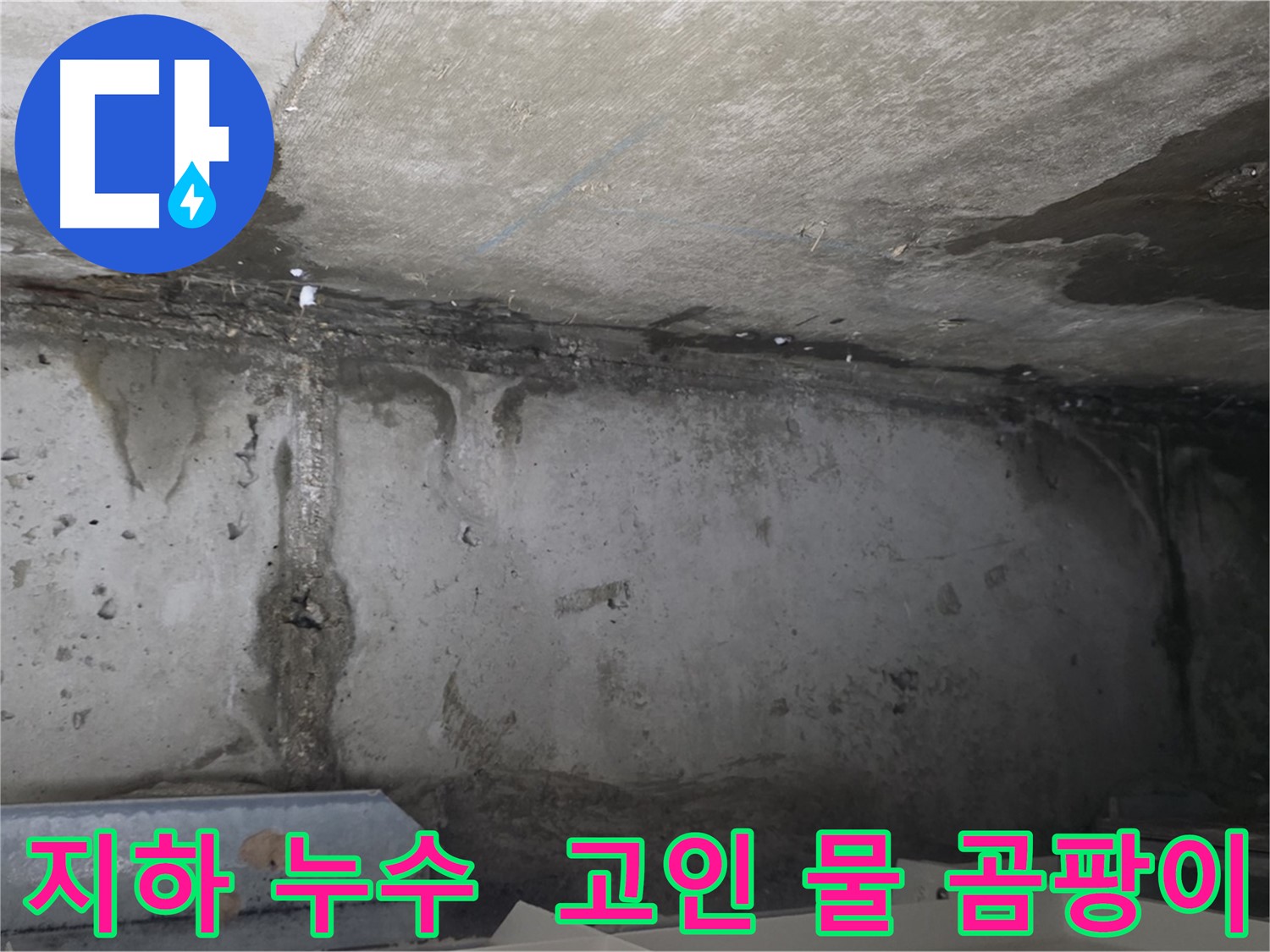 오남리 두산 지하 누수 - 고인 물 곰팡이