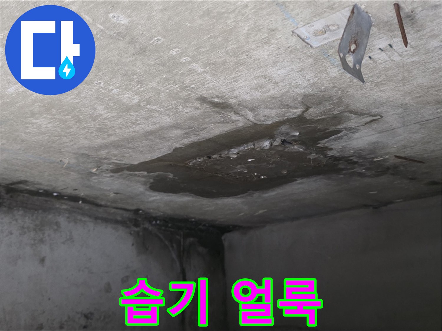 콘크리트 표면 습기로 인한 얼룩 - 남양주 오남 누수