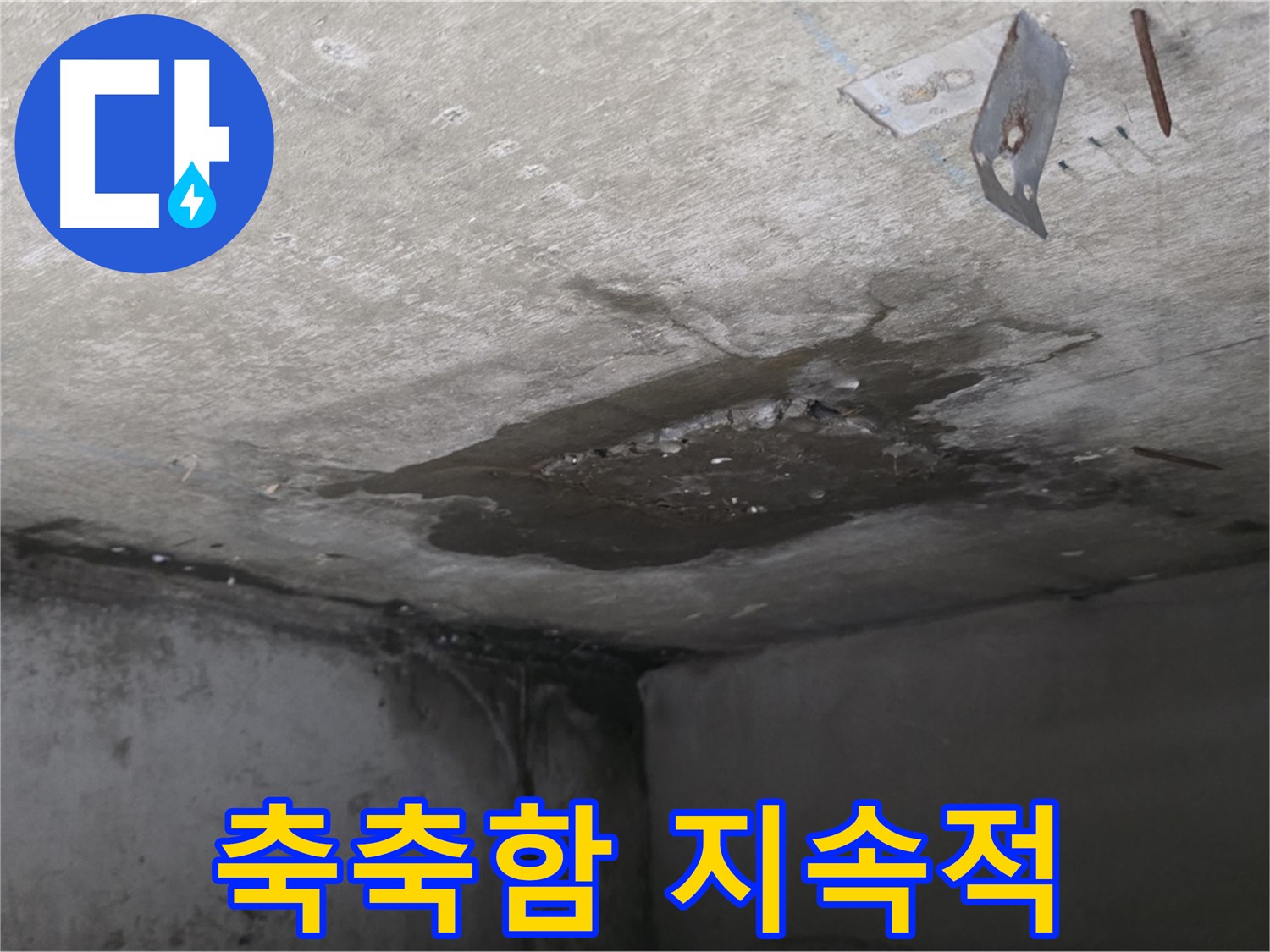 콘크리트 표면 축축함 지속적 - 남양주 오남 누수