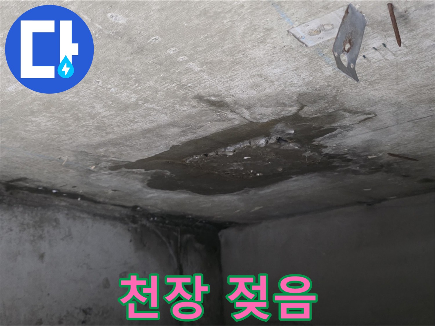 아래층 화장실 천장 젖음 - 손상된 마감재와 곰팡이