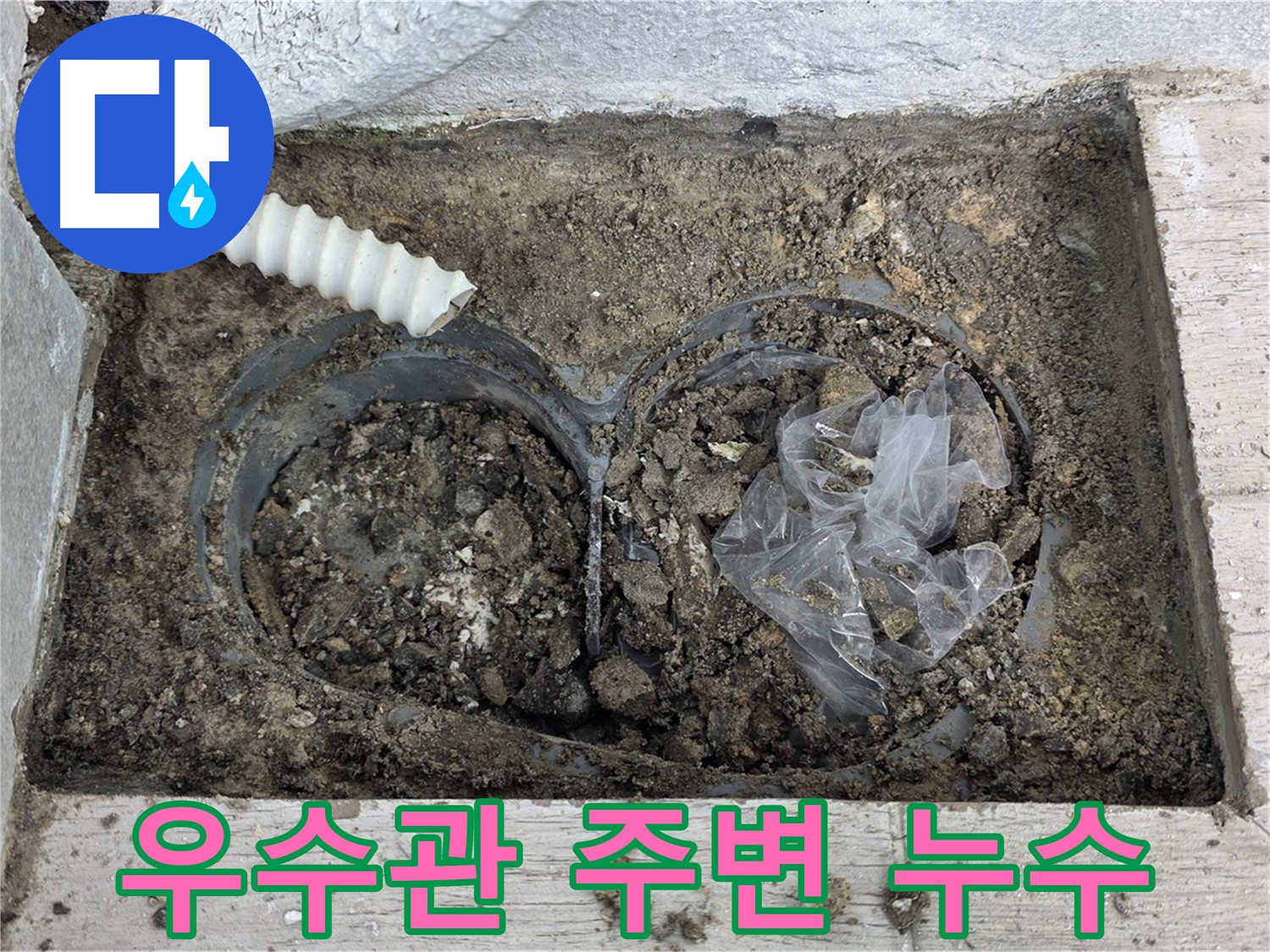 노원구 중계3동 청구3차 아파트에서 우수관 주변 누수를 확인하고 있습니다 - 꼼꼼한 점검으로 누수 원인을 파악합니다.