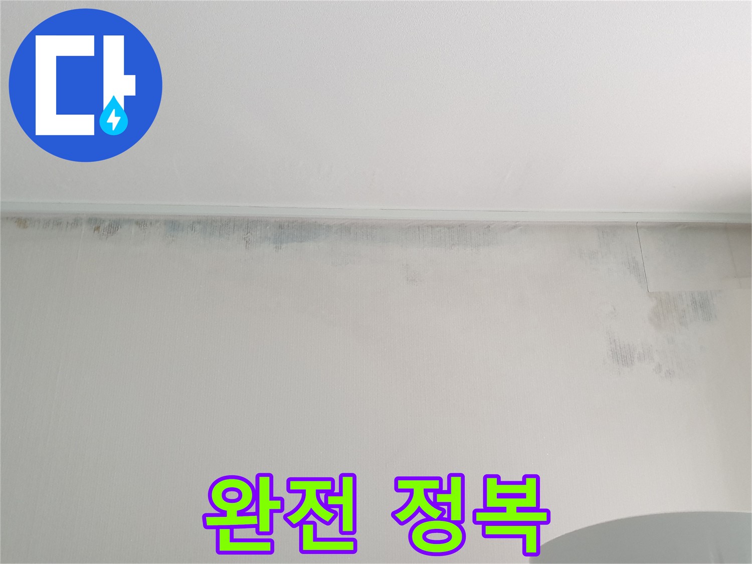 노원구 중계동 곰팡이 - 곰팡이 완전 정복