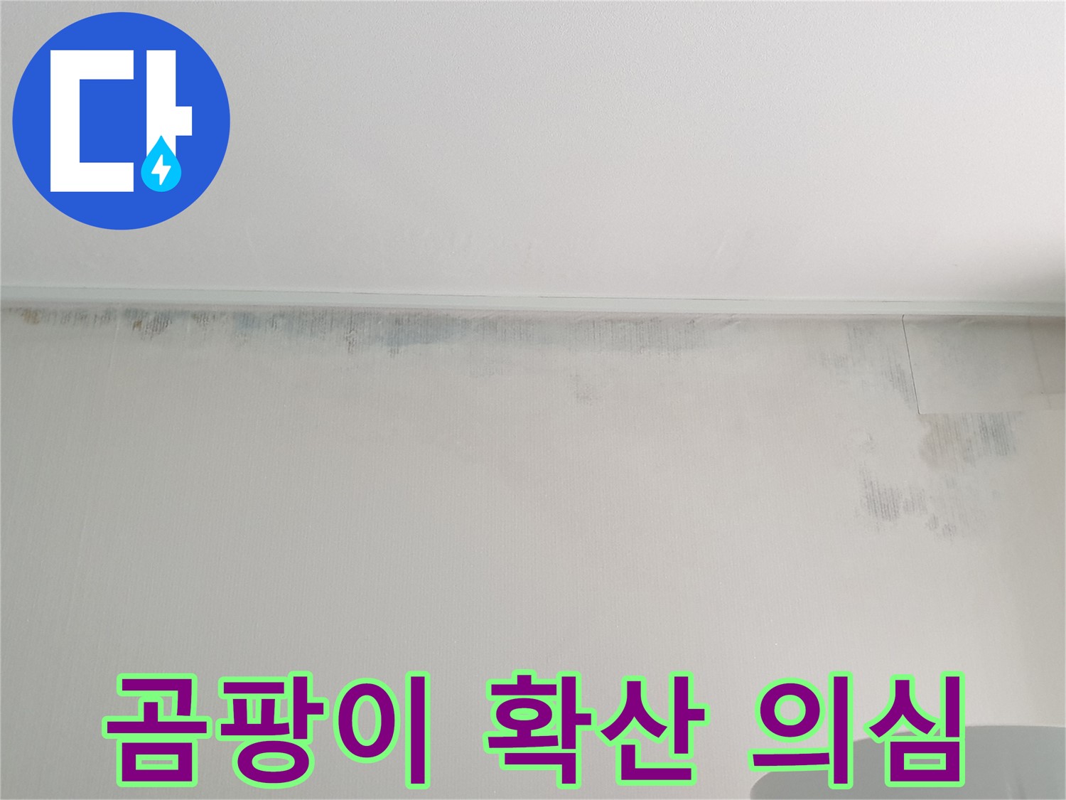 노원구 중계동 벽 곰팡이 - 누수 초기 증상 의심