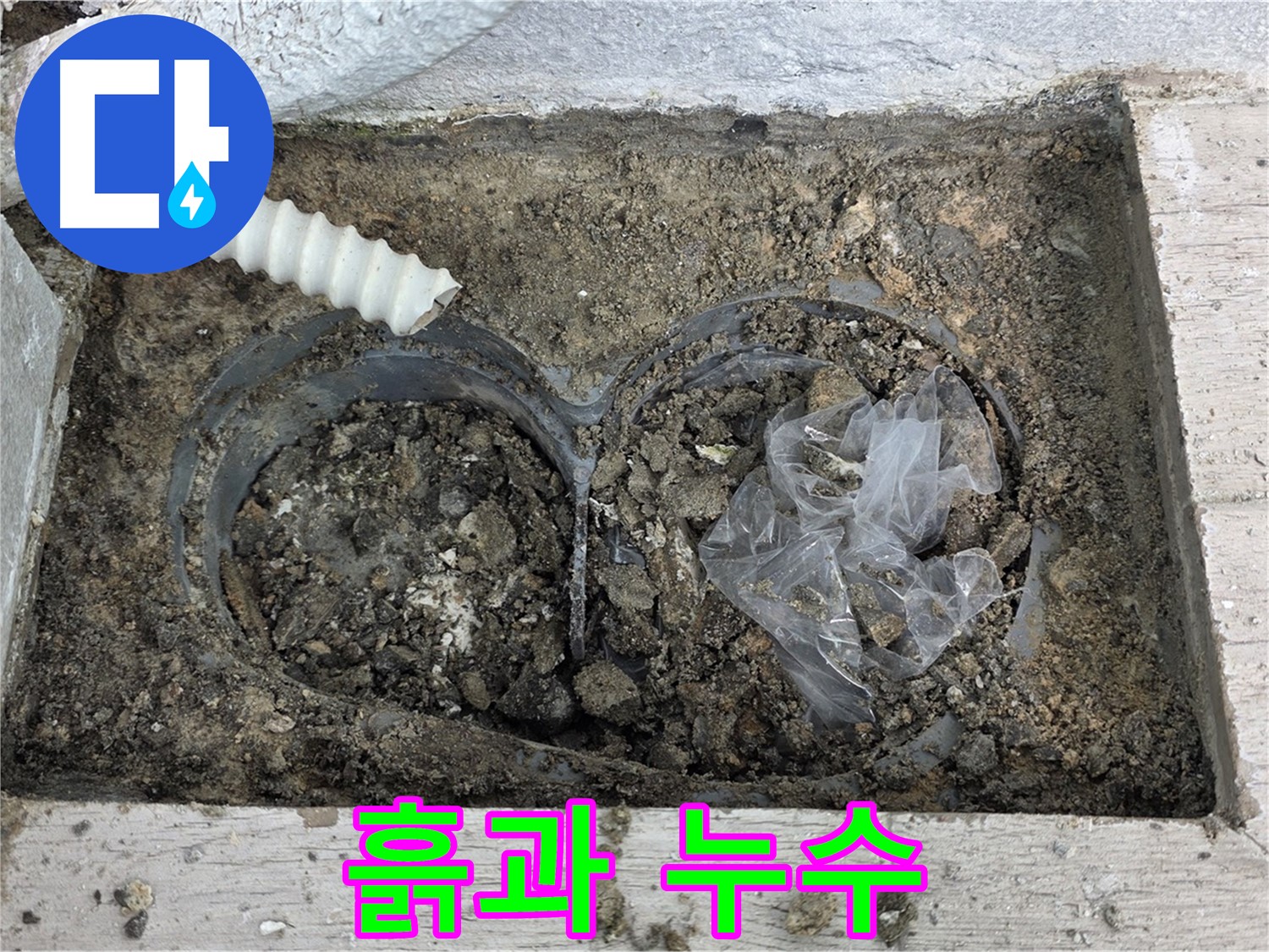 노원구 중계동 청구3차 아파트 누수 - 베란다 배수구 주변 흙이 누수의 시작일까?