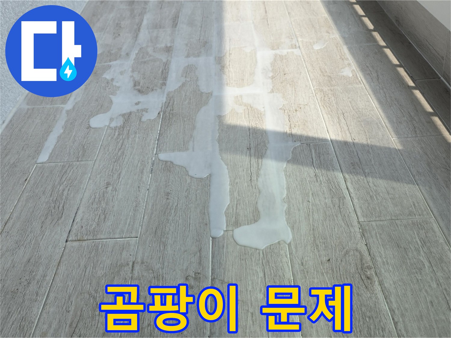 노원구 중계동 청구3차 아파트 베란다 누수 - 물고임과 곰팡이 문제, 서둘러 연락 주세요