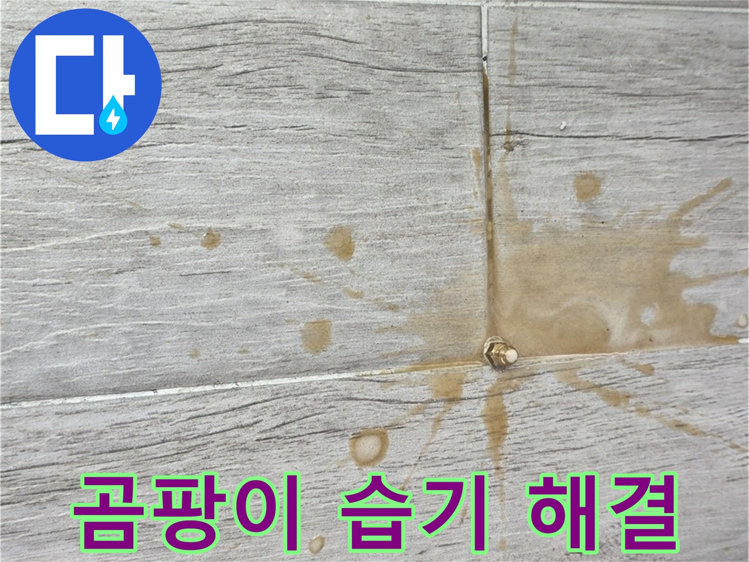 마루 곰팡이 - 습기 제거와 친환경 인젝션 방수로 쾌적하게