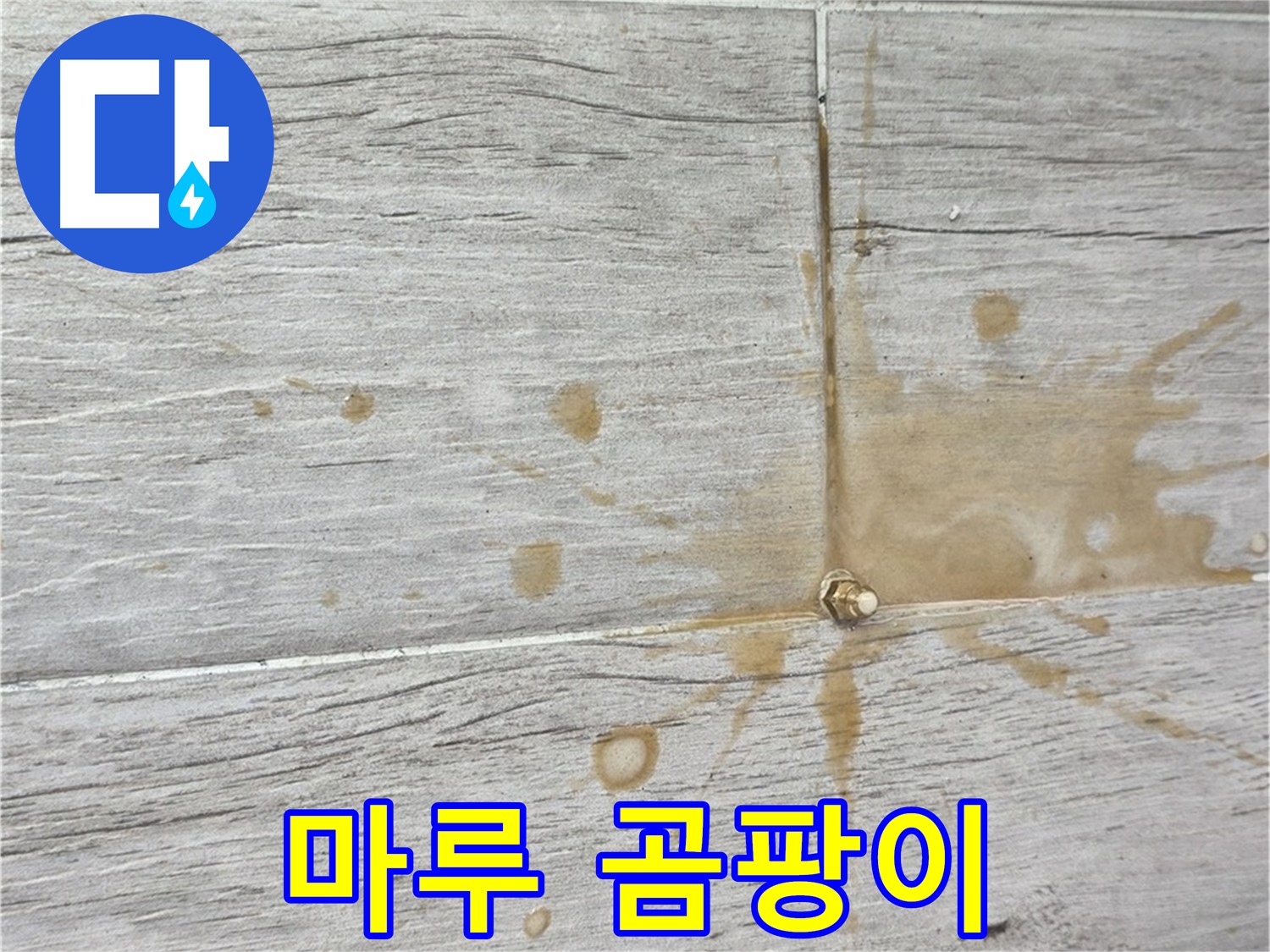 마루 곰팡이 - 인젝션 방수로 곰팡이 걱정 끝!