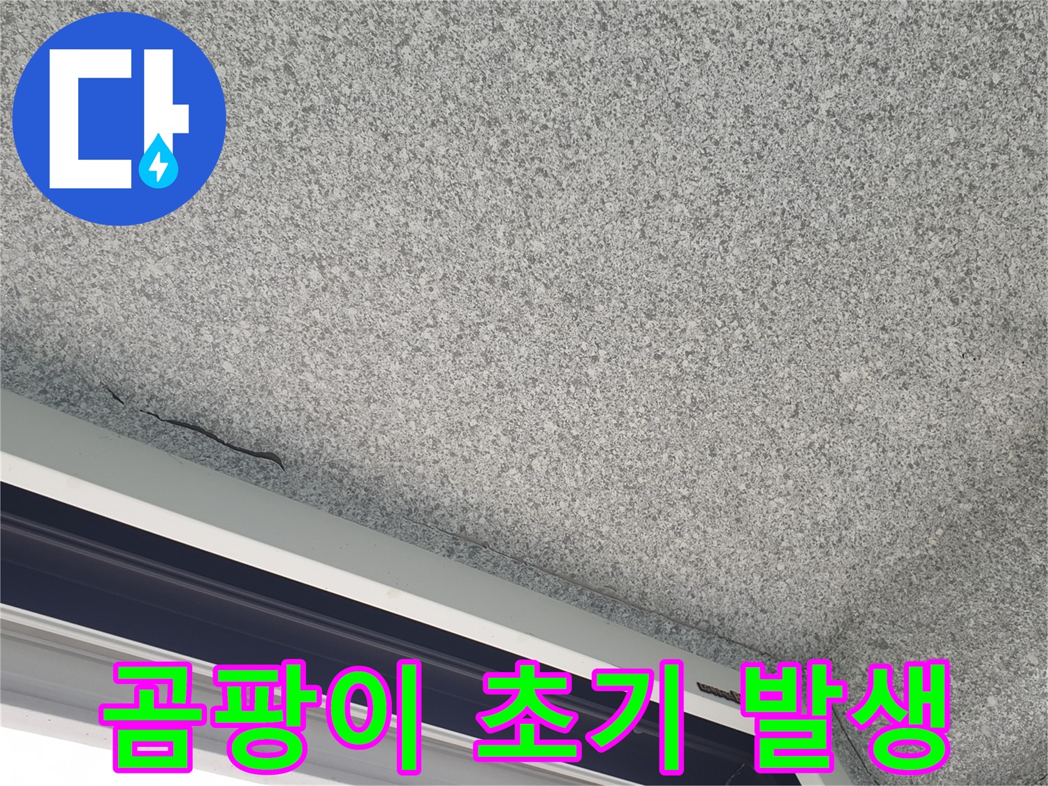 베란다 천장 곰팡이 초기 발생 - 건강에 해로움