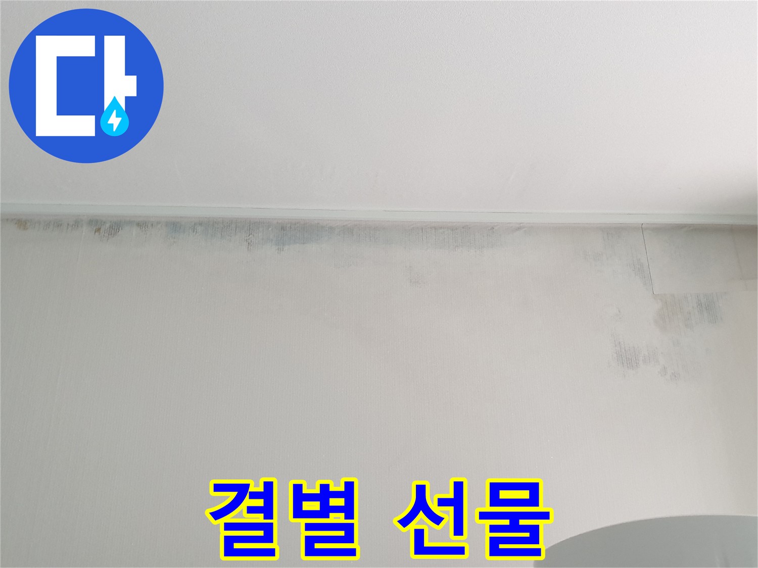 중계동 아파트 곰팡이 - 결별 선물