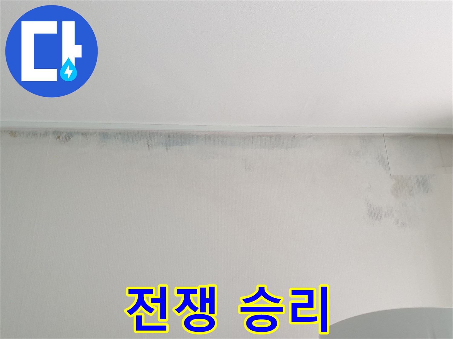 중계동 아파트 곰팡이 - 곰팡이와의 전쟁 완벽 승리