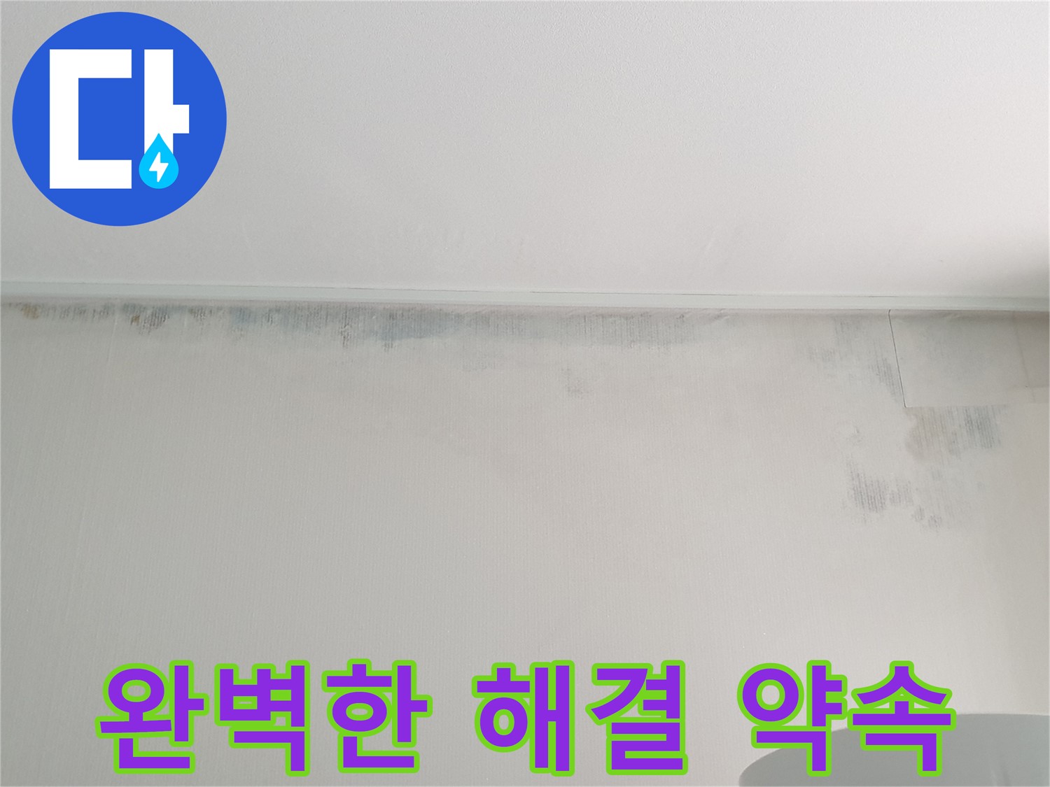 중계동 아파트 천장 곰팡이 - 완벽한 해결 약속