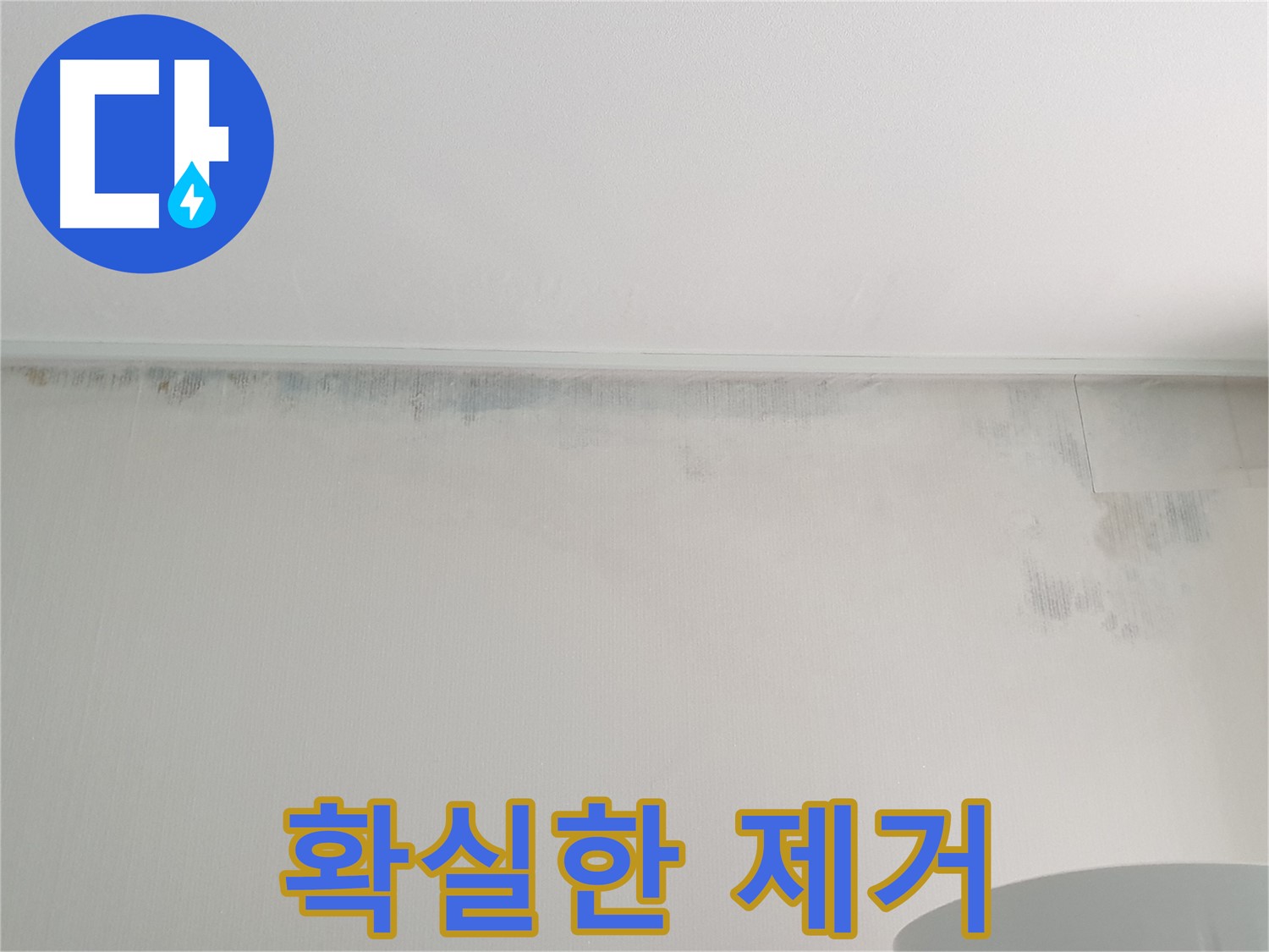 중계동 아파트 천장 곰팡이 - 확실한 제거와 재발 방지 약속