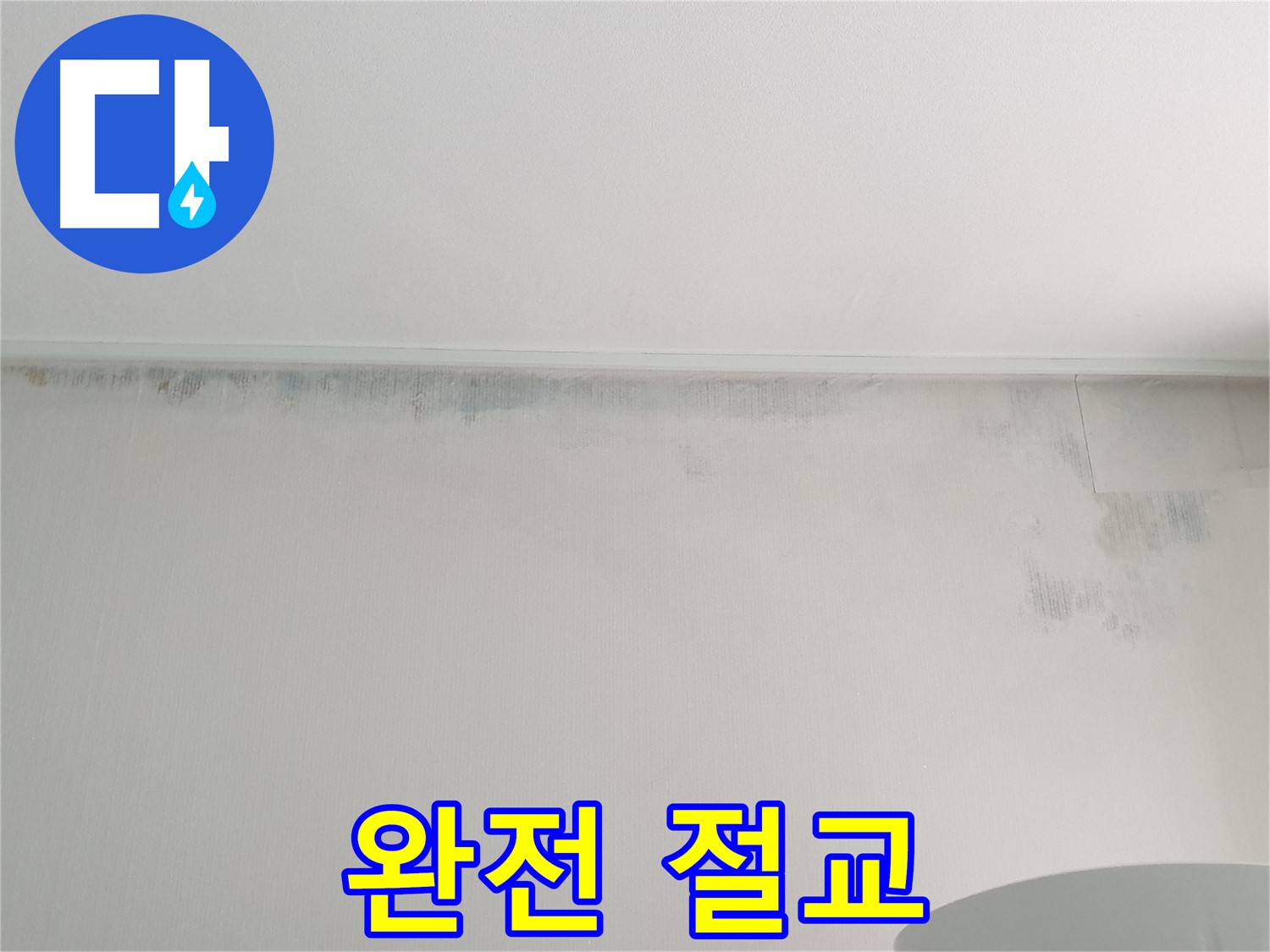 중계동 청구3차 곰팡이 - 곰팡이와 완전 절교