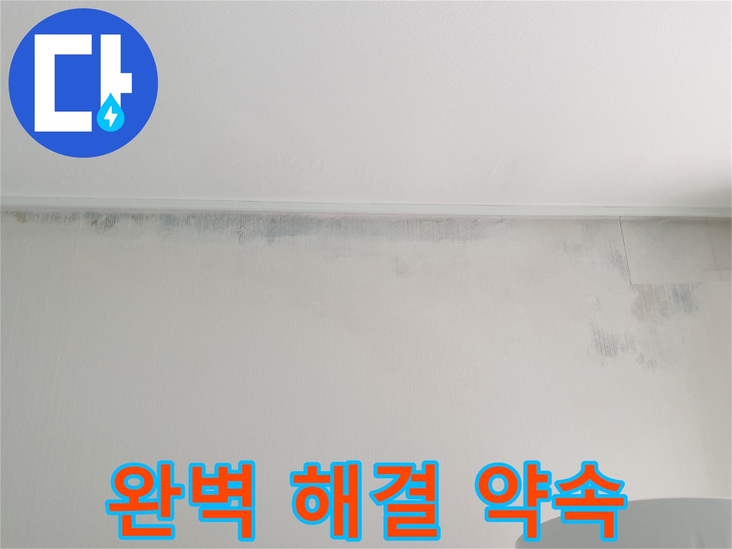 중계동 청구3차 아파트 벽 곰팡이 - 완벽 해결 약속