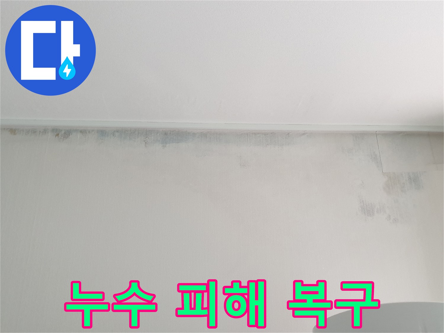 중계동 청구3차 아파트 벽지 곰팡이 - 누수 피해 현장