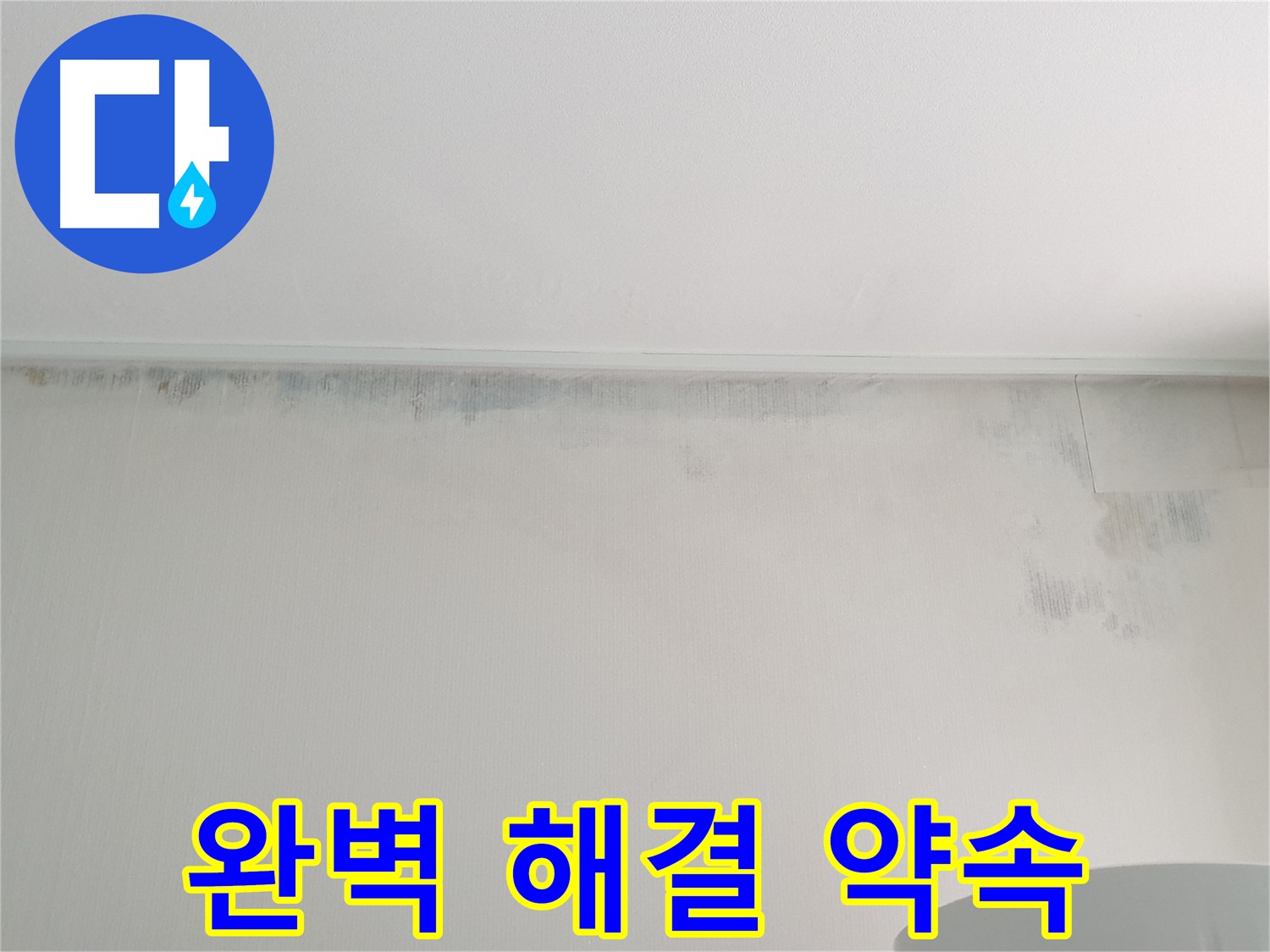 중계본동 청구3차 아파트 벽 곰팡이 - 누수 문제 완벽 해결 약속