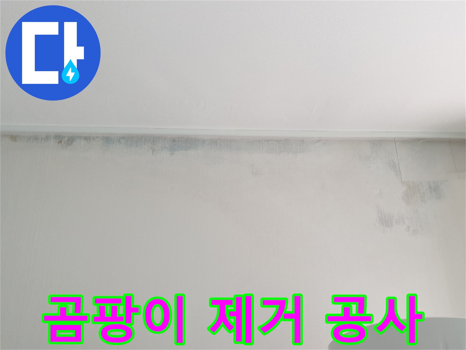 노원구 아파트 천장 곰팡이 - 광범위한 누수 문제