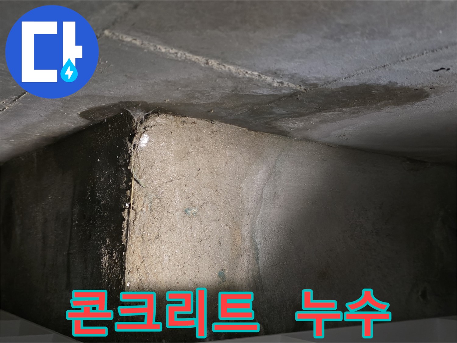 김포 장기동 누수 - 콘크리트 천장에서 누수가 발생하는 모습