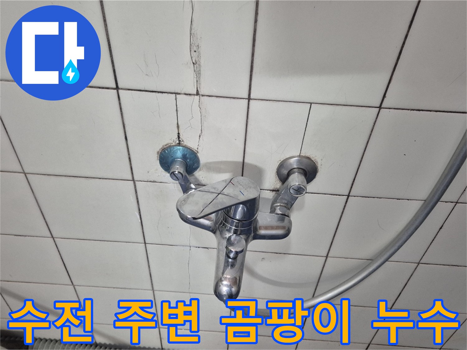 샤워기 수전 주변 곰팡이 발생 - 습기로 인한 곰팡이 및 누수 의심