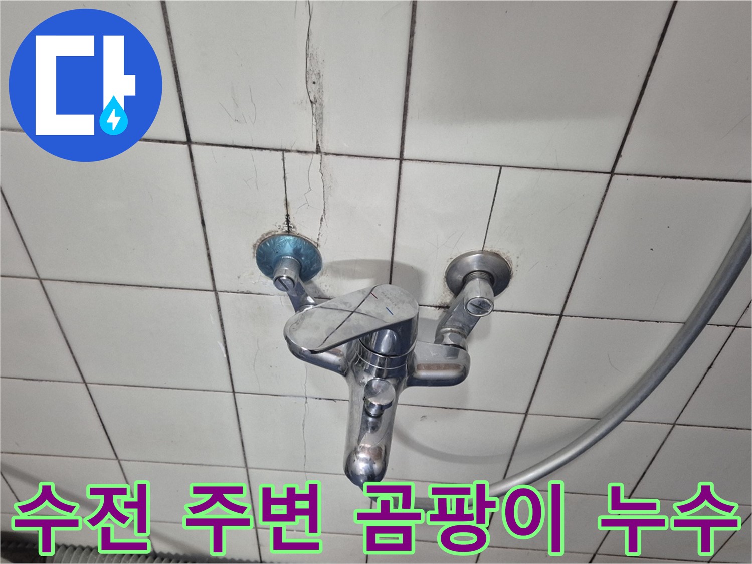 샤워기 수전 주변 곰팡이 발생 - 습기로 인한 곰팡이 및 누수 의심