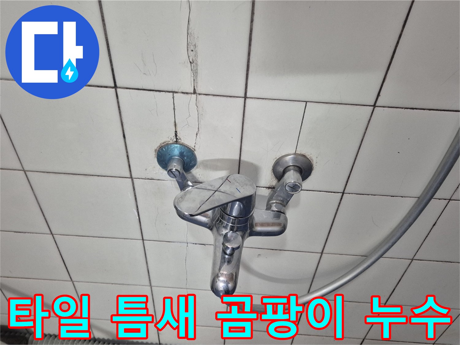 샤워기 수전 주변 타일 틈새 곰팡이 - 틈새 곰팡이로 인한 누수 의심