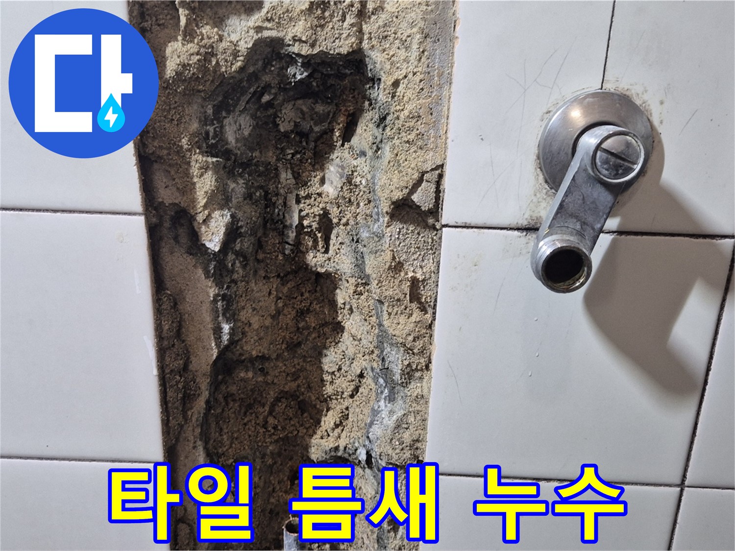 욕실 타일 틈새 누수 - 손상된 실리콘과 젖은 타일