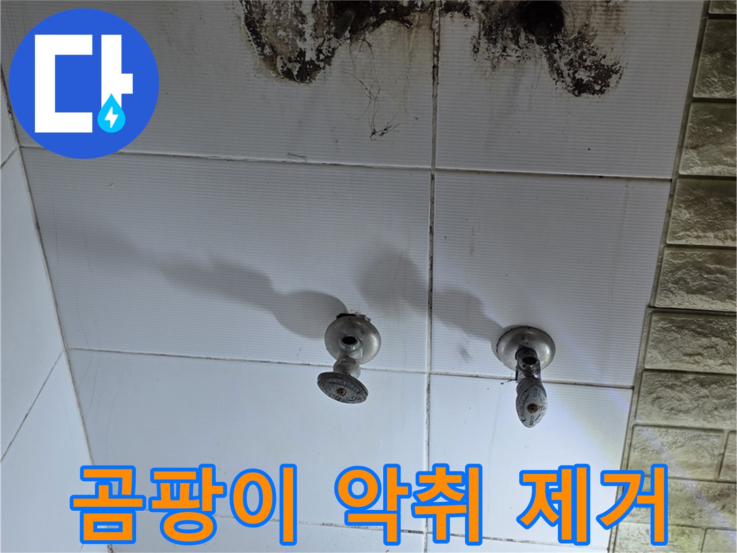 노원구 곰팡이 악취 욕실 - 누수 원인을 해결하고 곰팡이 냄새까지 완벽하게 제거해 드립니다.