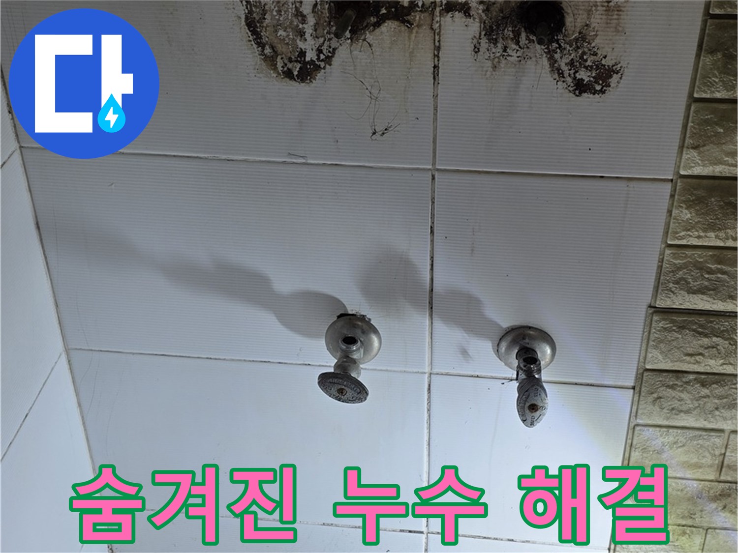 상계동 빌라 곰팡이 핀 욕실 - 숨겨진 누수를 찾아 완벽하게 해결하는 전문 업체를 소개합니다.
