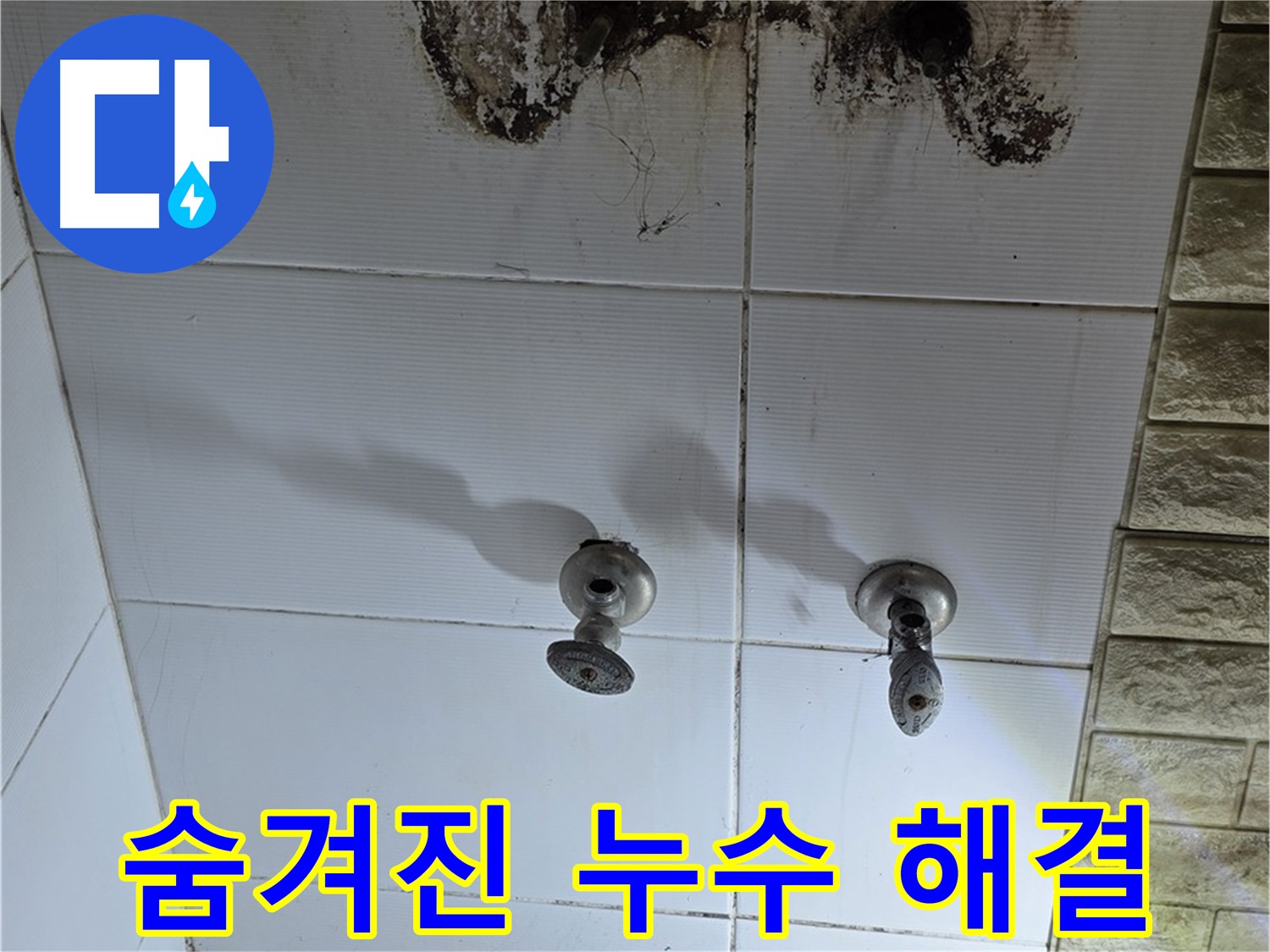 상계동 빌라 곰팡이 핀 욕실 - 숨겨진 누수를 찾아 완벽하게 해결하는 전문 업체를 소개합니다.