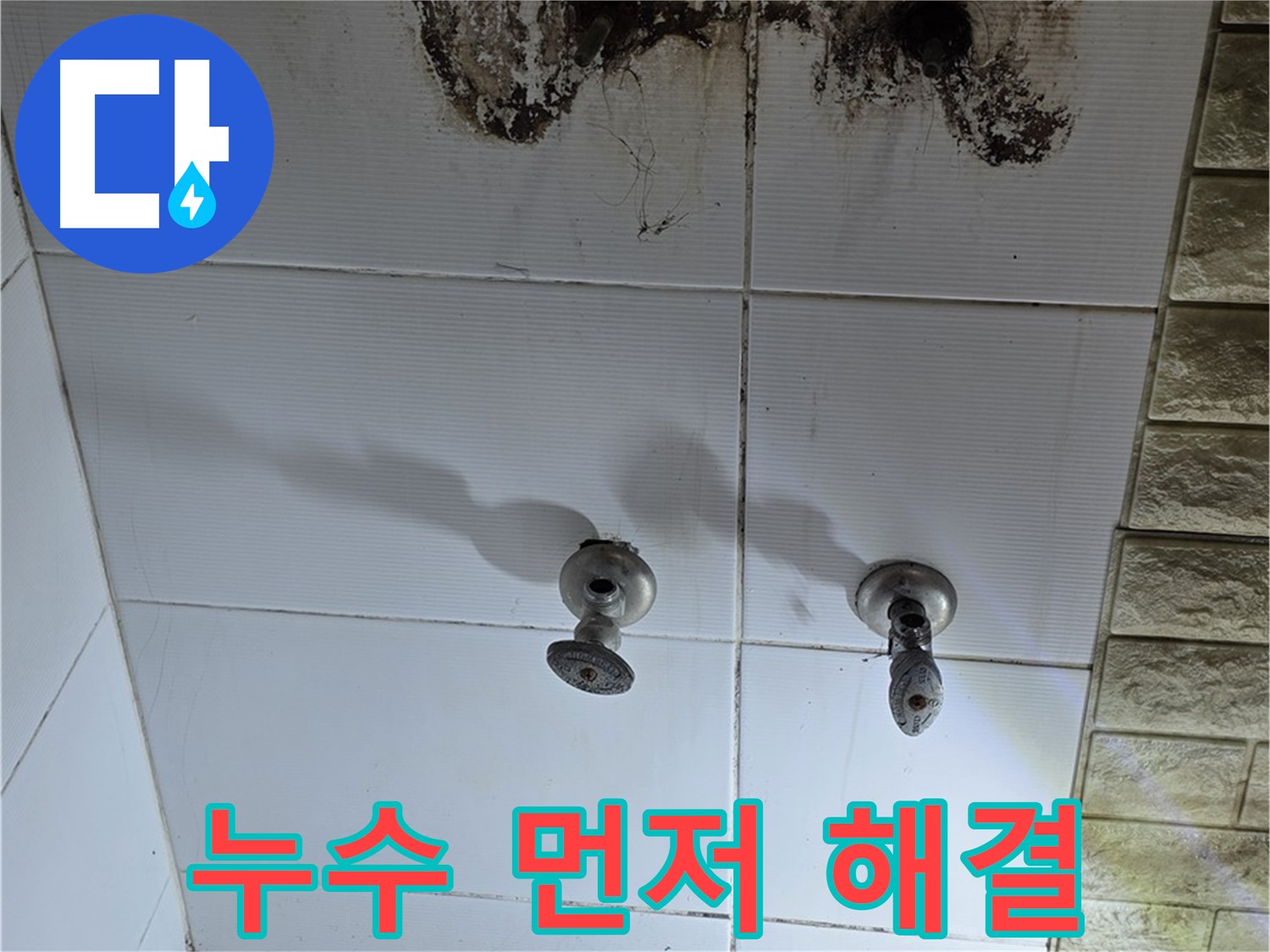 상계동 욕실 곰팡이 - 곰팡이 제거보다 누수 해결이 우선입니다.