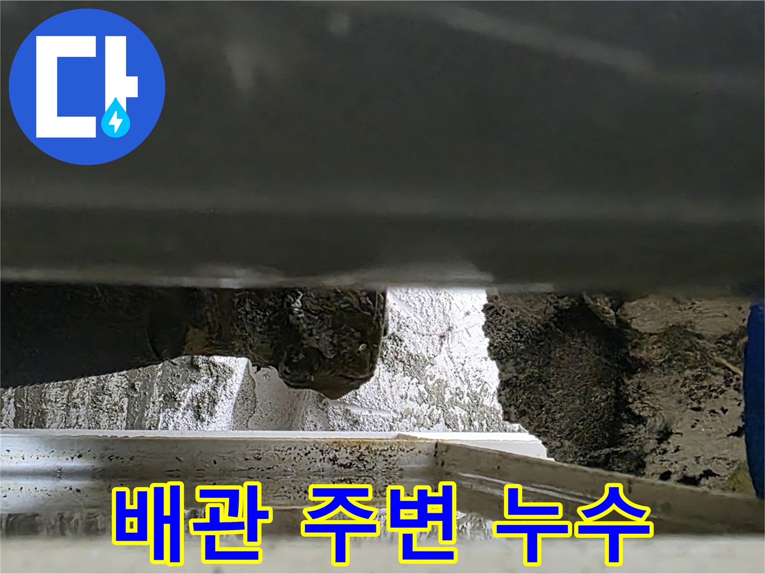 노원구 누수 현장 - 배관 주변 고인 물