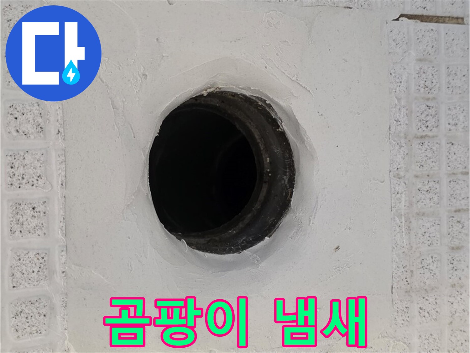 과천 문원동 욕실 누수 - 배수구 주변 곰팡이 냄새, 누수 관련성 점검