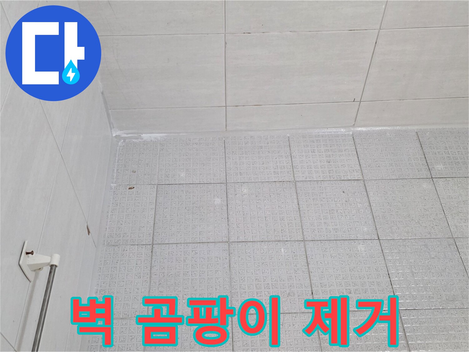 과천 욕실 벽 타일 곰팡이 제거 후 누수 방지 시공 - 누수 전문가의 꼼꼼한 시공