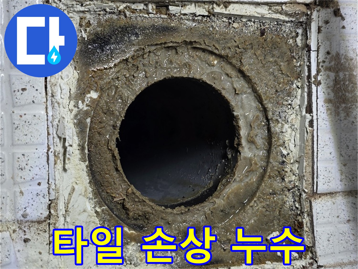 과천시 문원동 - 욕실 유가 주변 타일 손상으로 누수 발생 가능성 높음