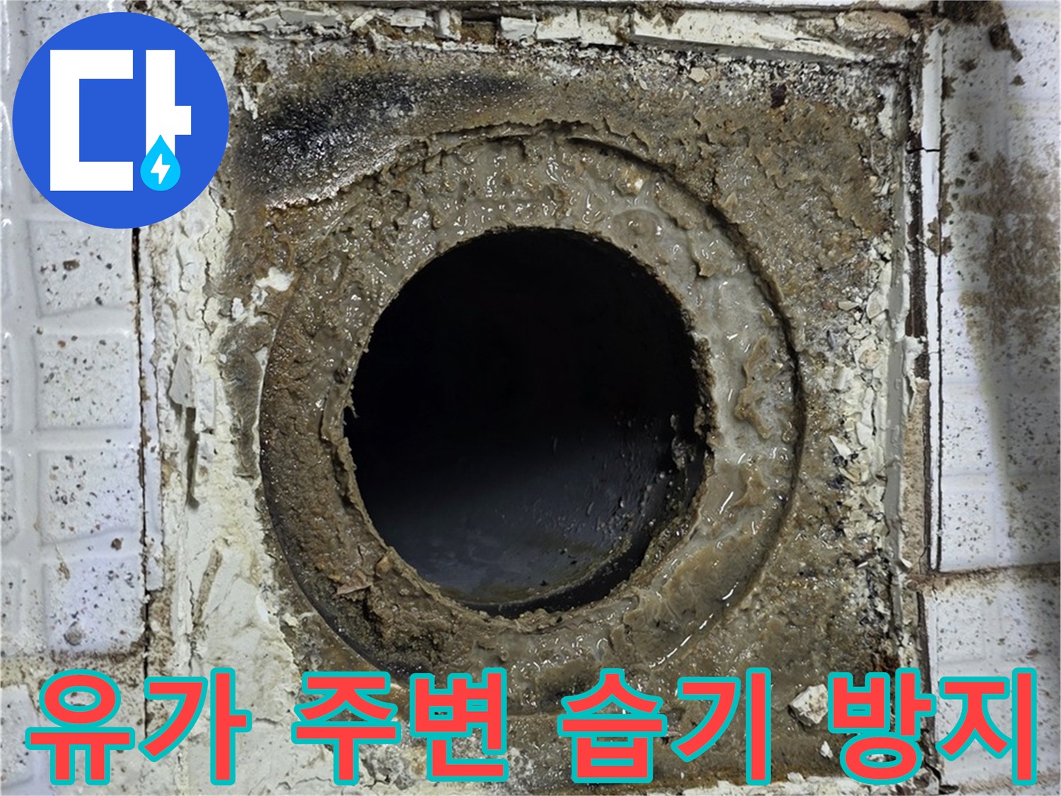 물이 고인 유가 - 손상된 방수층으로 인한 물 침투