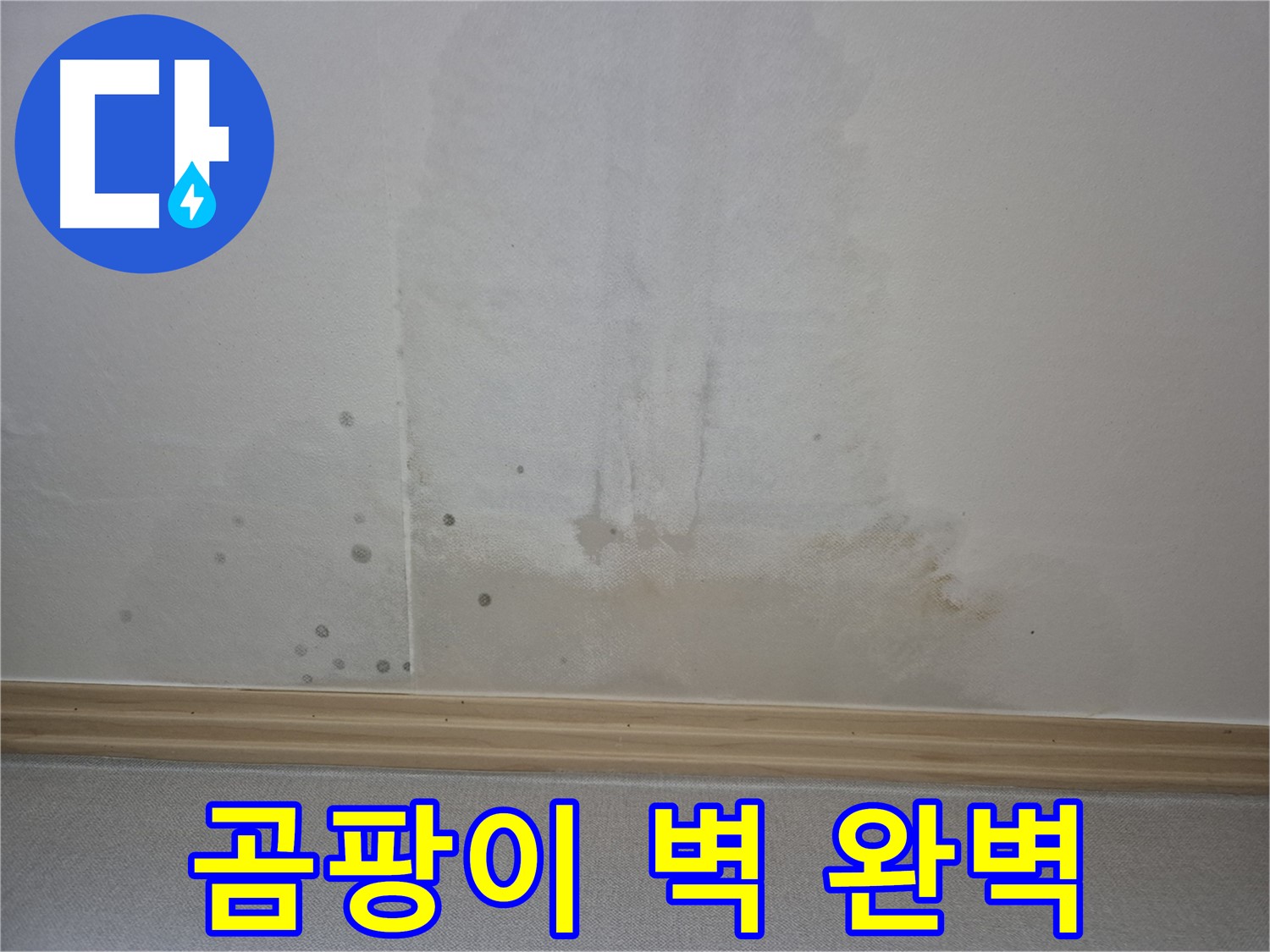 가좌마을 누수 해결 - 곰팡이 벽을 완벽하게 고치는 비법 공개