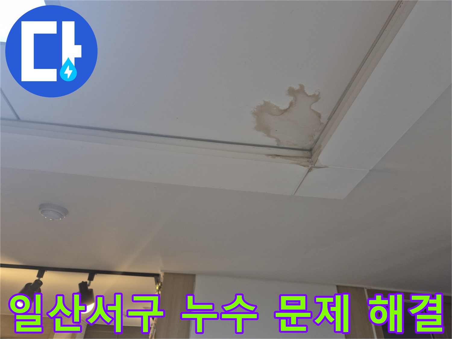 고양시 일산서구 천장 누수 - 건물 전체 안전 위협 - 전문 업체의 진단과 시공 필요
