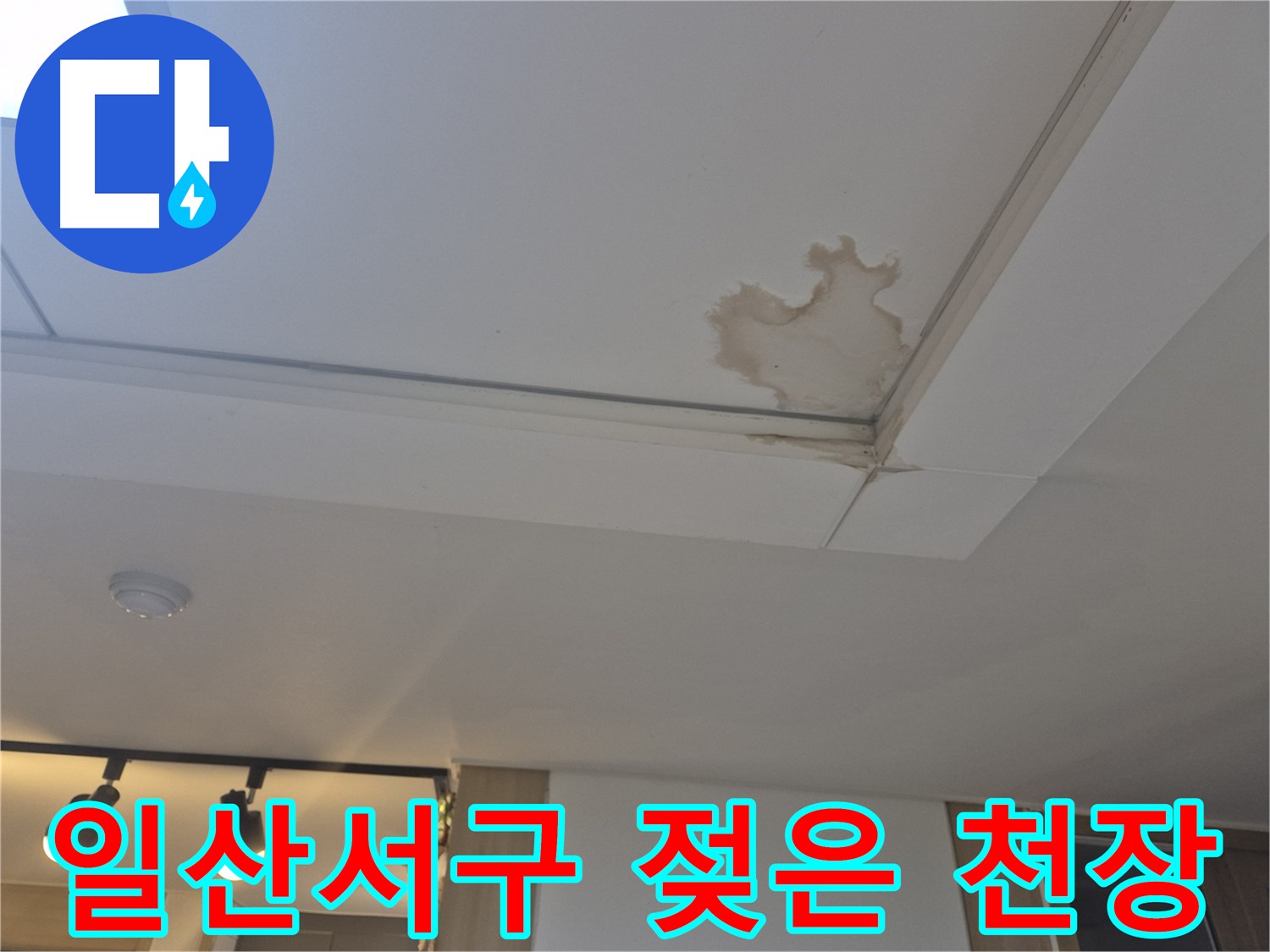 고양시 일산서구 천장 누수 - 젖어버린 천장 - 누수 의심 시 전문가의 점검이 필요합니다