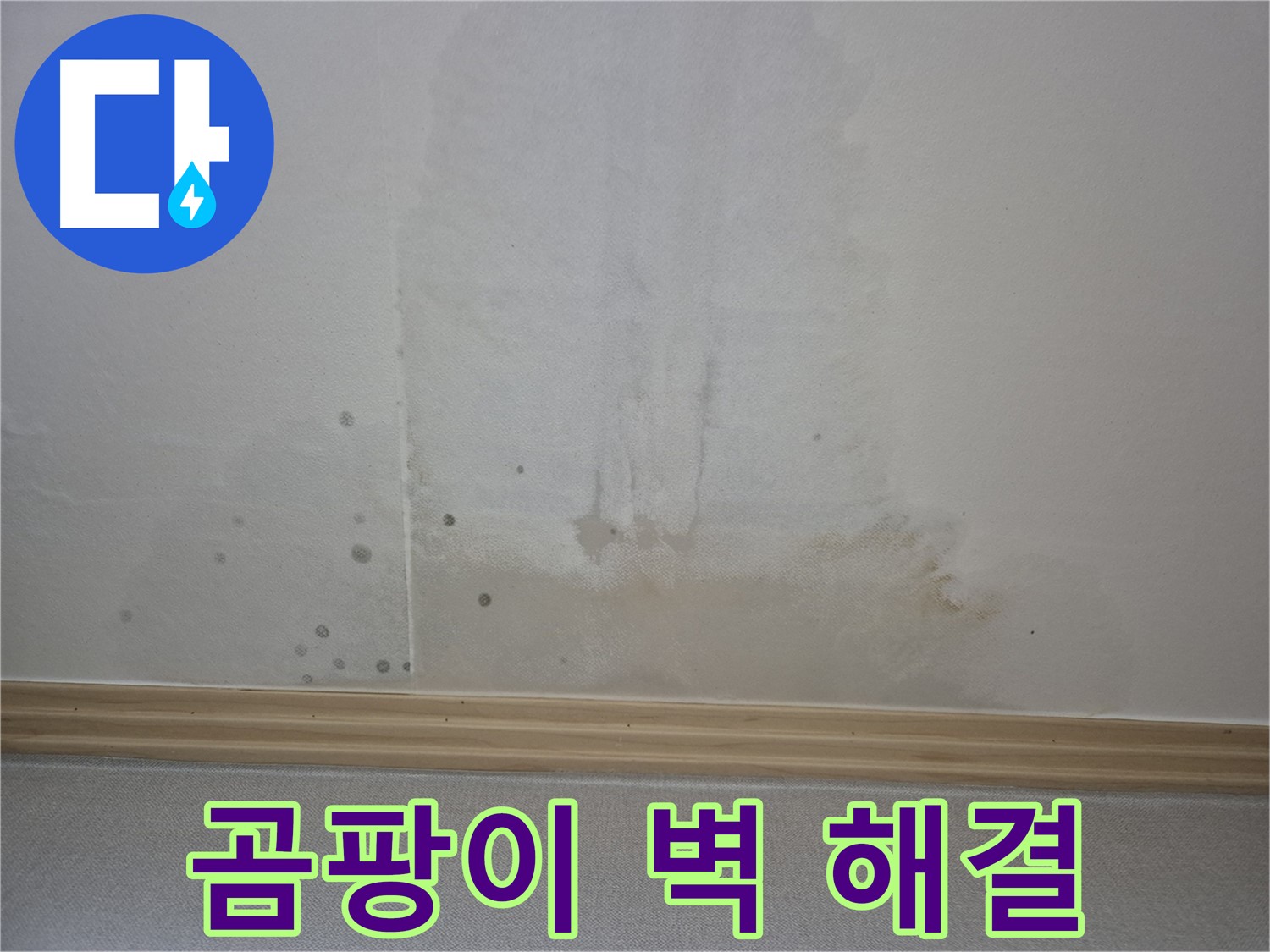 곰팡이 핀 벽 완벽 해결 - 숙련된 기술로 깨끗하게 시공하는 모습