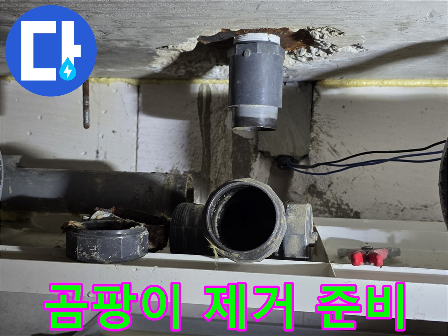 곰팡이 제거 장비 준비 - 꼼꼼한 청소 준비 - 누수 해결