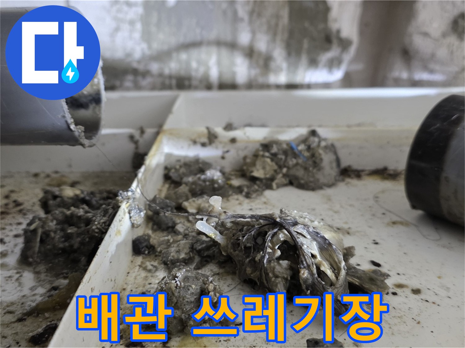 노원구 중계동 라이프청구신동아아파트 - 배관 속 쓰레기장 - 누수 위험