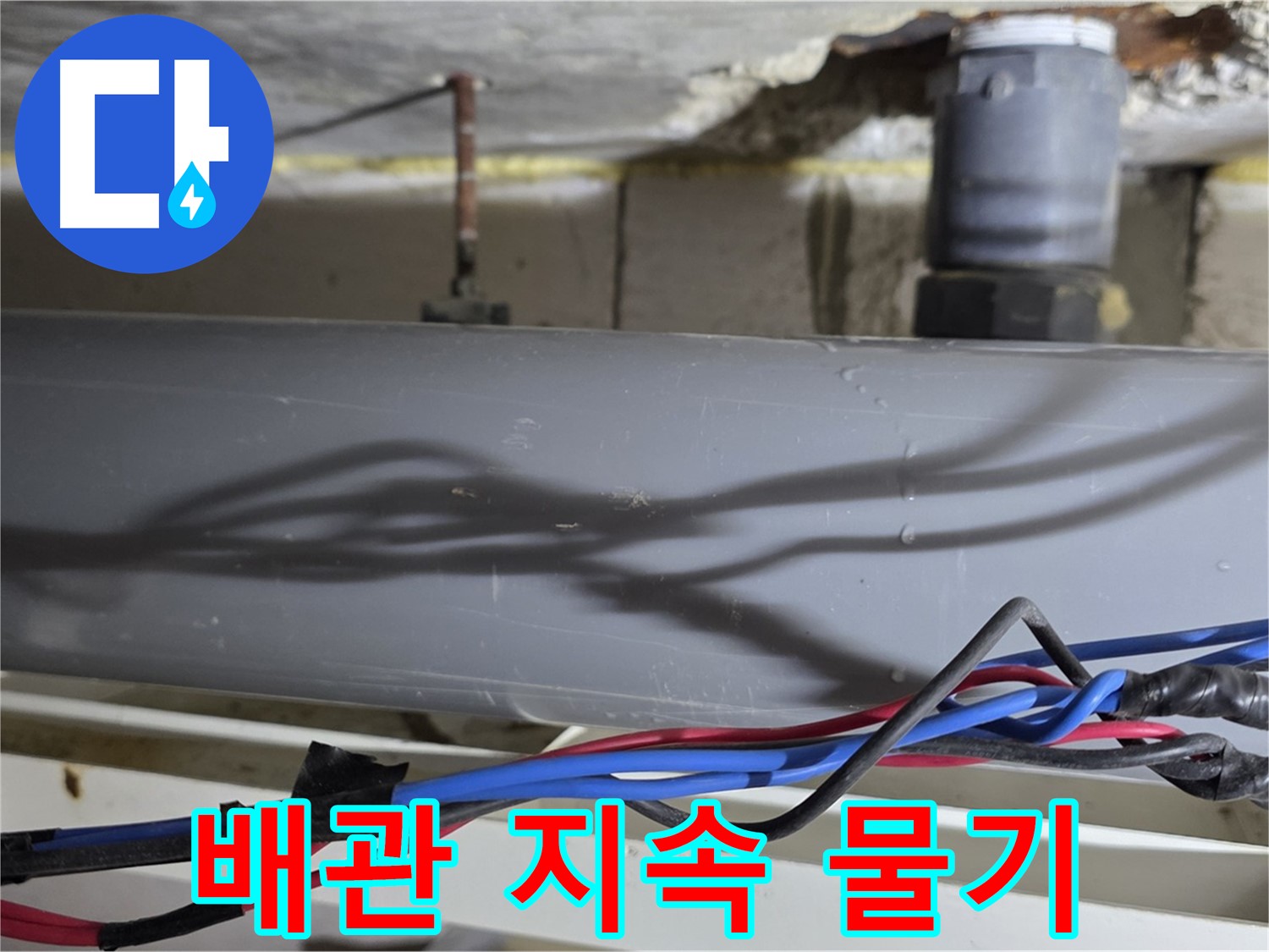 노원구 중계본동 라이프청구신동아 - 배관 누수, 지속적인 물기! 정밀 진단으로 해결