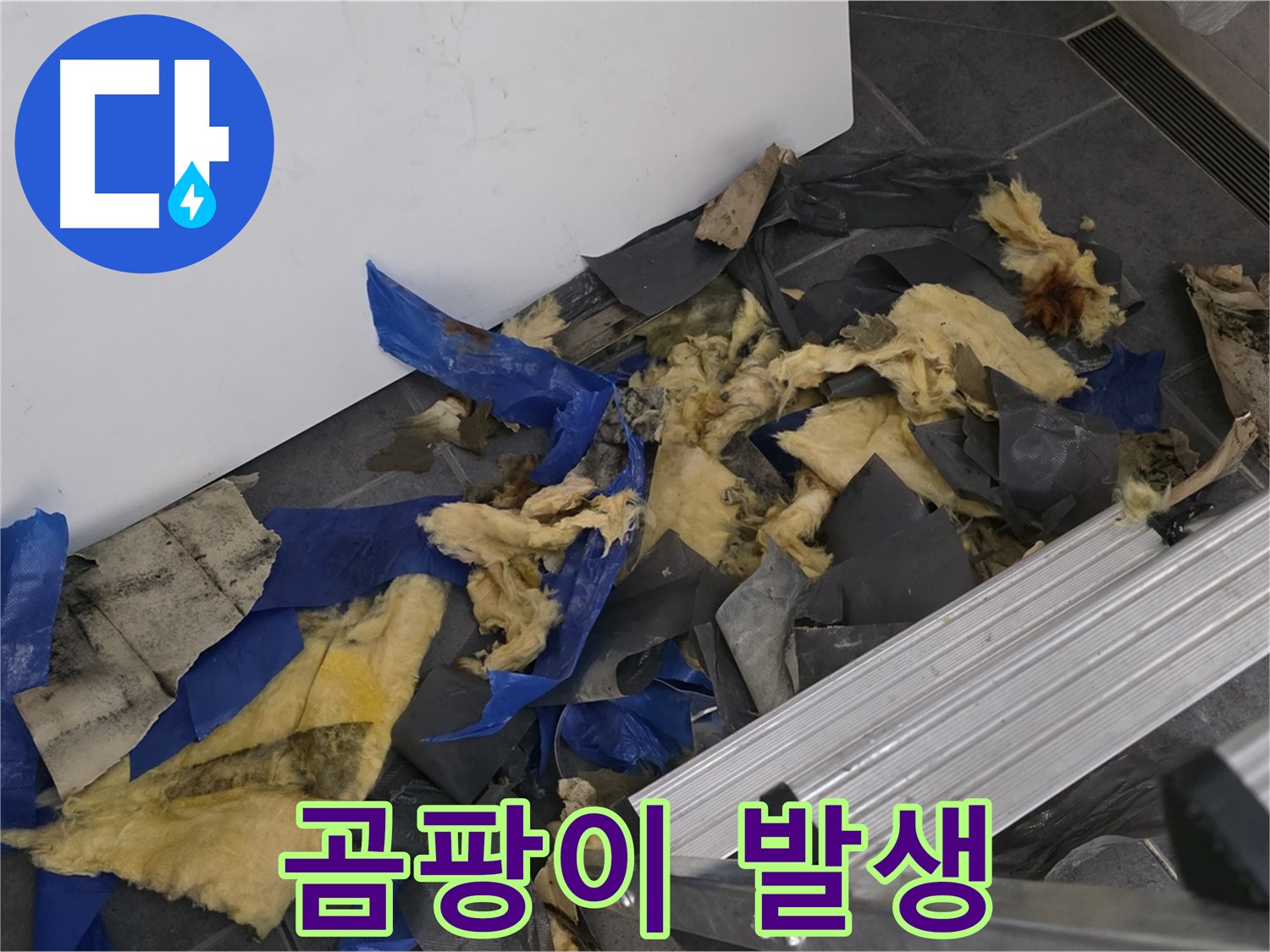 중계동 라이프청구신동아 아파트 - 곰팡이 발생 및 천장 누수 해결